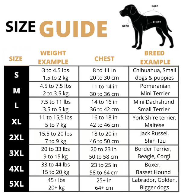 SafePet™ 3 in 1 Jacket + FREE Shoes