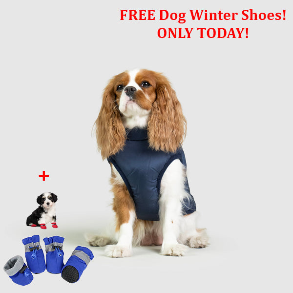 SafePet™ 3 in 1 Jacket + FREE Shoes
