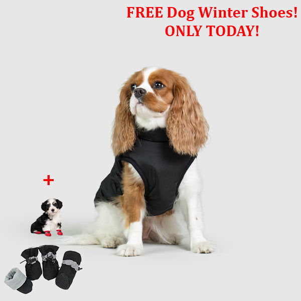 SafePet™ 3 in 1 Jacket + FREE Shoes