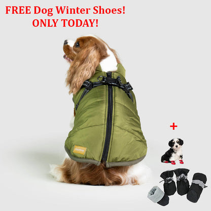 SafePet™ 3 in 1 Jacket + FREE Shoes