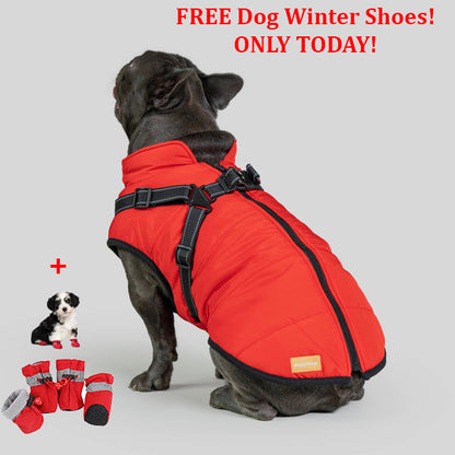 SafePet™ 3 in 1 Jacket + FREE Shoes