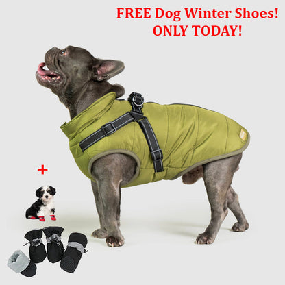 SafePet™ 3 in 1 Jacket + FREE Shoes