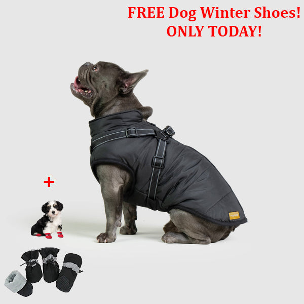 SafePet™ 3 in 1 Jacket + FREE Shoes