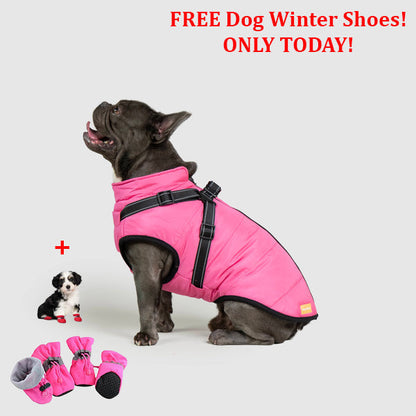 SafePet™ 3 in 1 Jacket + FREE Shoes