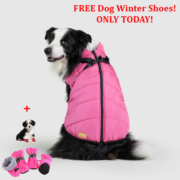 SafePet™ 3 in 1 Jacket + FREE Shoes
